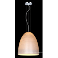 Modern Leisure Glass Steel E27 60W Home Pendant Lighting (MD8205-SR)